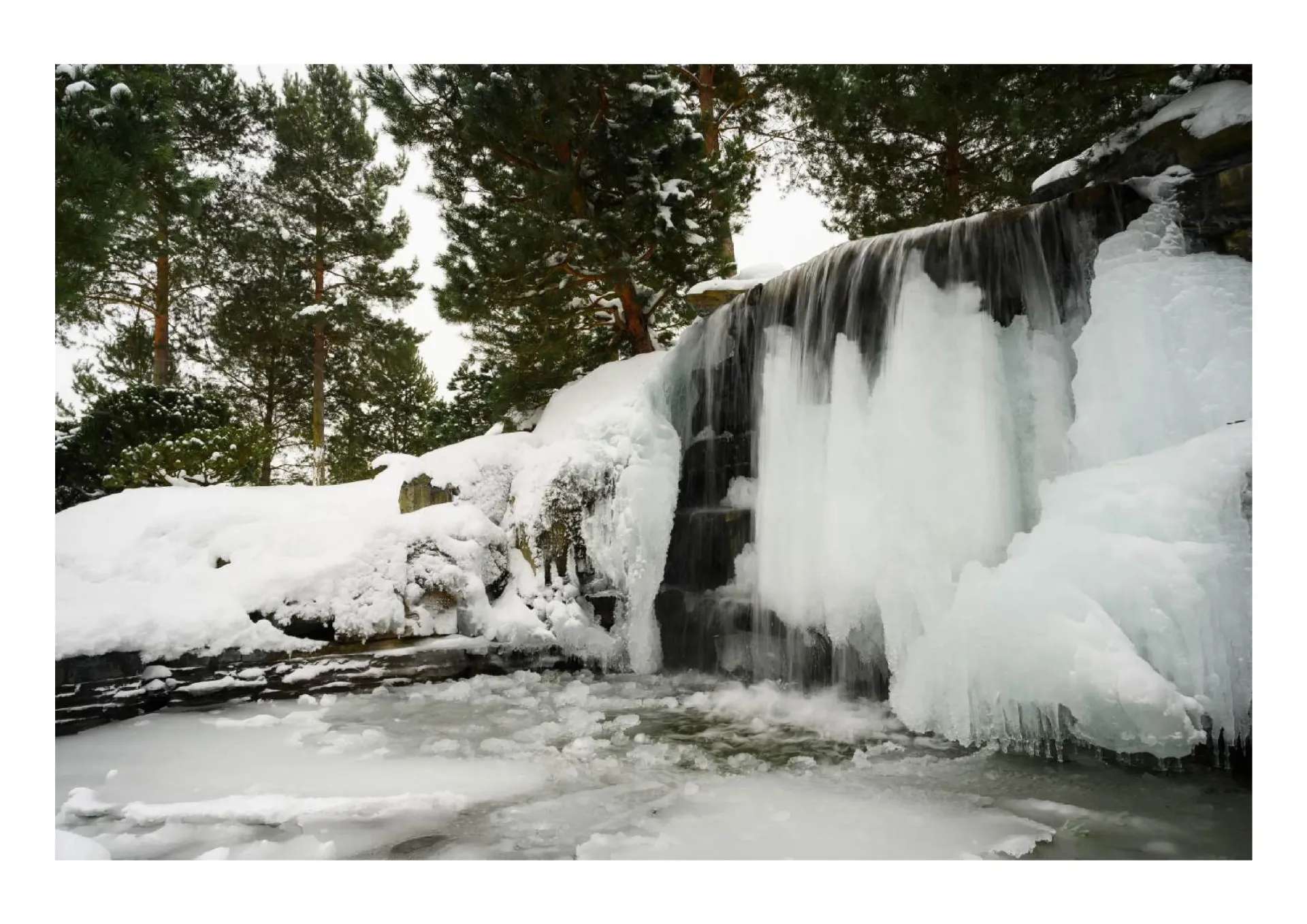 pages.hotelPages.services